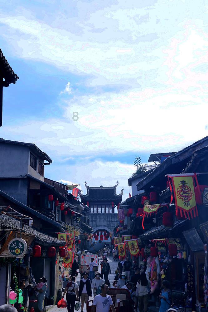 沙苑红萝卜“漂洋过海”闯世界